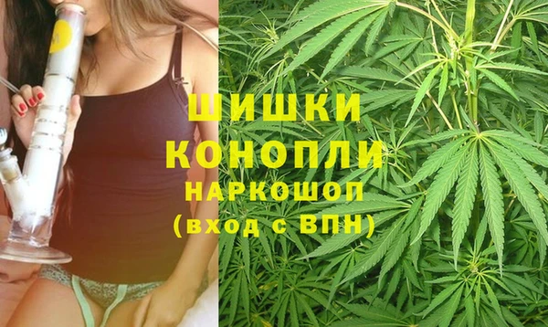 ГАЛЛЮЦИНОГЕННЫЕ ГРИБЫ Арсеньев