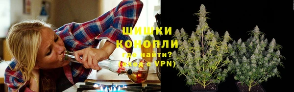 индика Майский